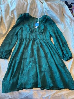 Cupshe Emerald Green Long-Sleeve V‑Neck Floral Textured Dress NWT